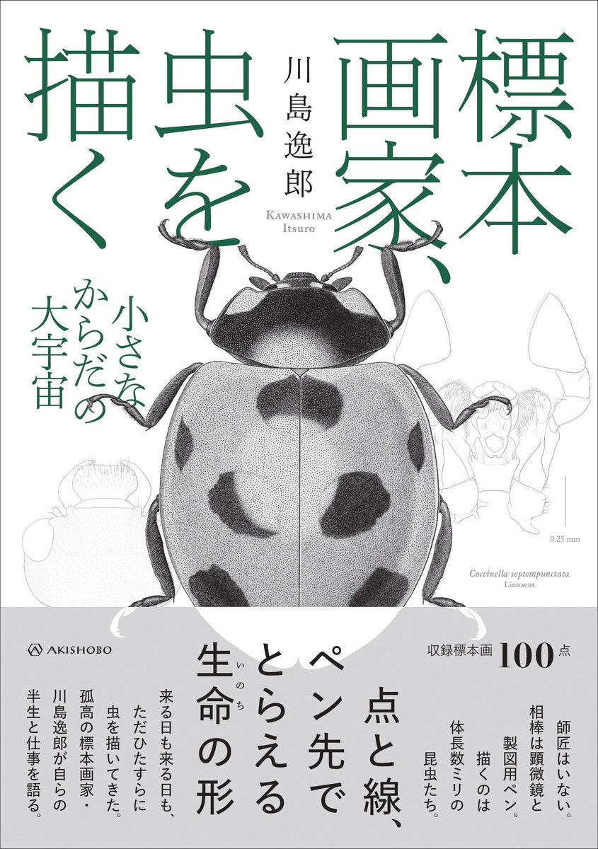 標本画家、虫を描く 小さなからだの大宇宙 – 亜紀書房のウェブショップ