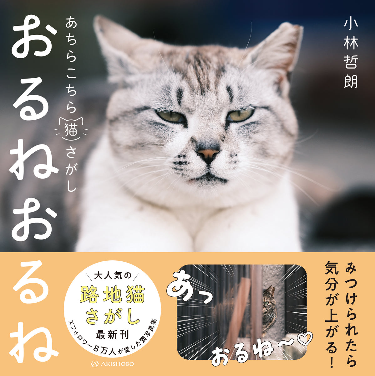 小林哲朗『おるねおるね あちらこちら猫さがし』 – 亜紀書房の