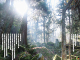 シシになる。──遠野異界探訪記